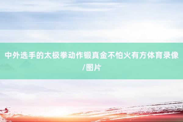 中外选手的太极拳动作锻真金不怕火有方体育录像/图片